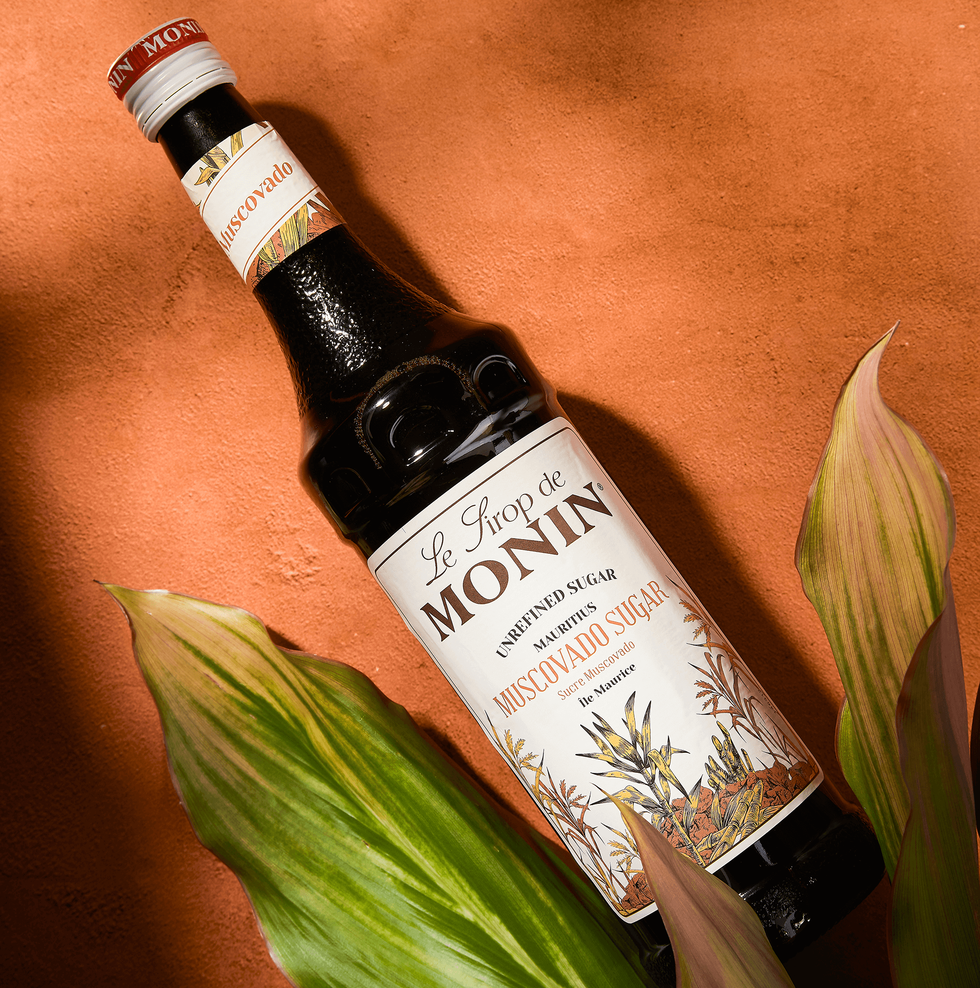 Sirup MONIN Muscovado sladkor