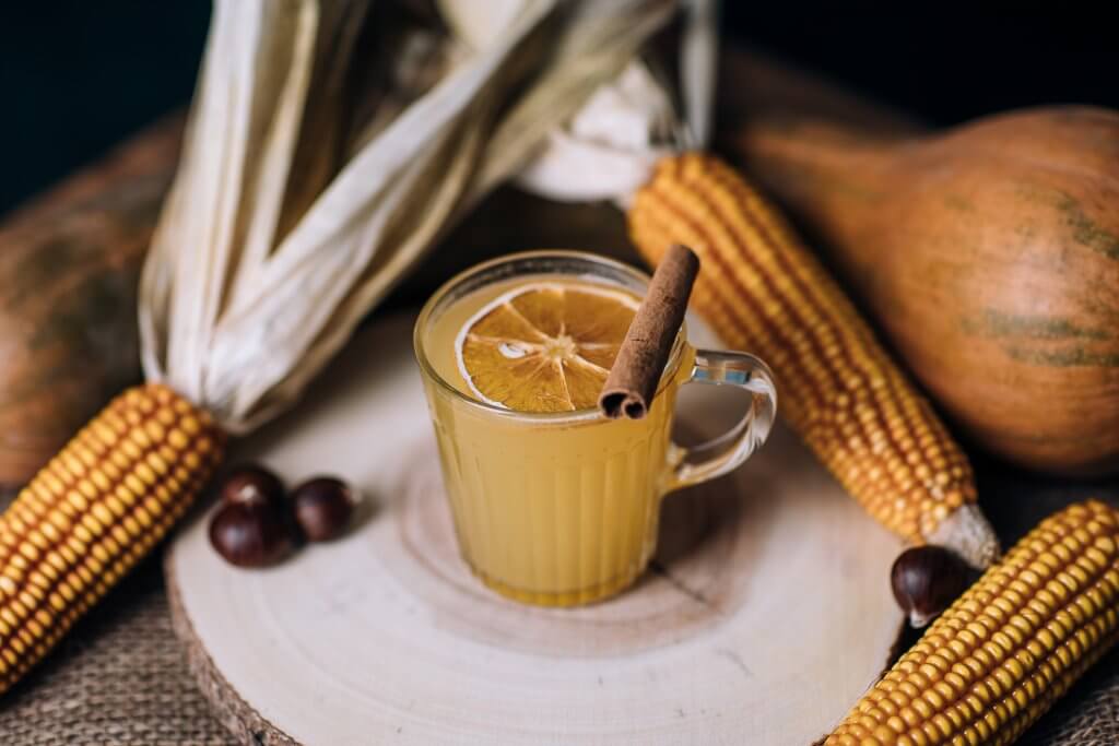 Jesenska limonada Monin