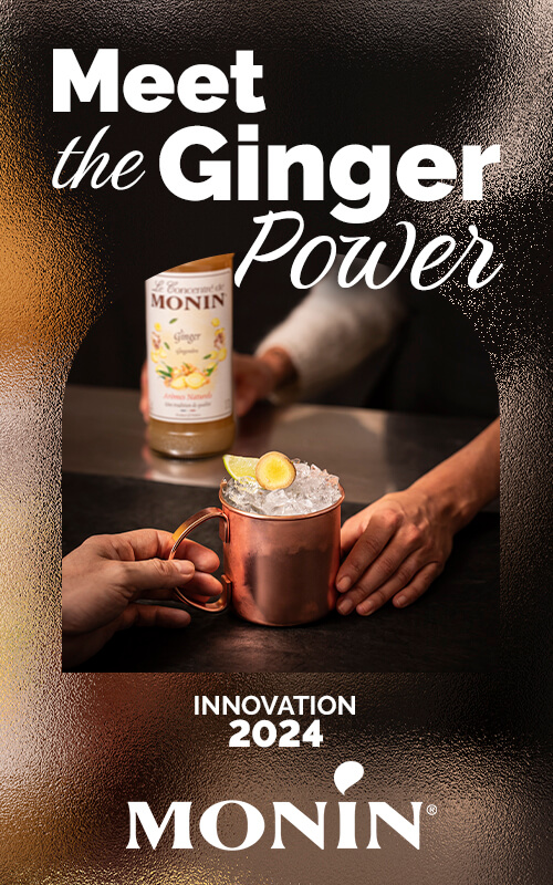 Koncentrat Monin Ingver